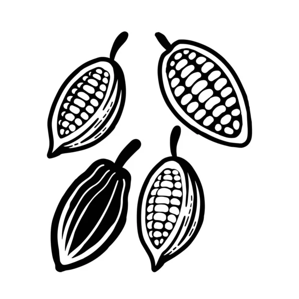 Fagioli Cacao Simbolo Nero Isolato Bianco — Vettoriale Stock