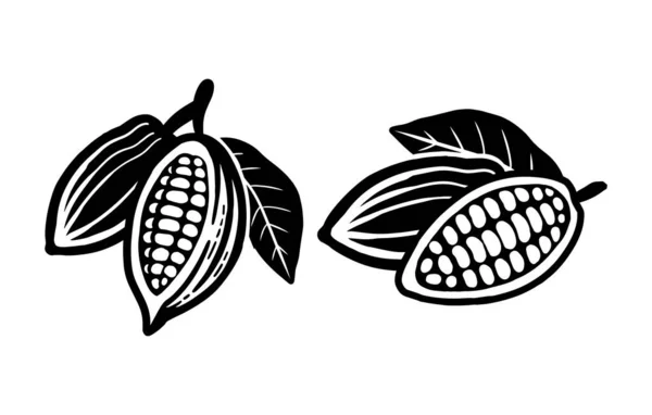 Esbozo Granos Cacao Icono Vector Blanco — Vector de stock