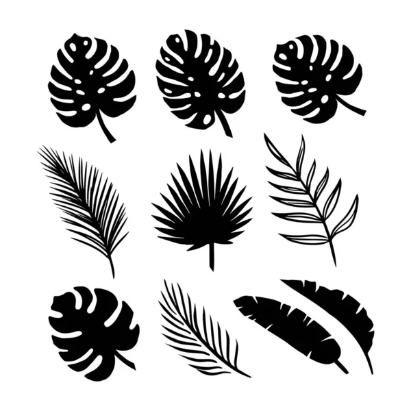 Conjunto de siluetas de hojas tropicales de palmeras, árboles. aislado sobre fondo blanco. vector EPS 10 . — Vector de stock