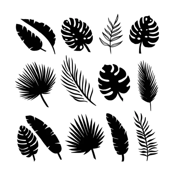 Set of silhouettes of tropical leaves of palms, trees. isolated on white background. vector EPS 10 . — Stock Vector