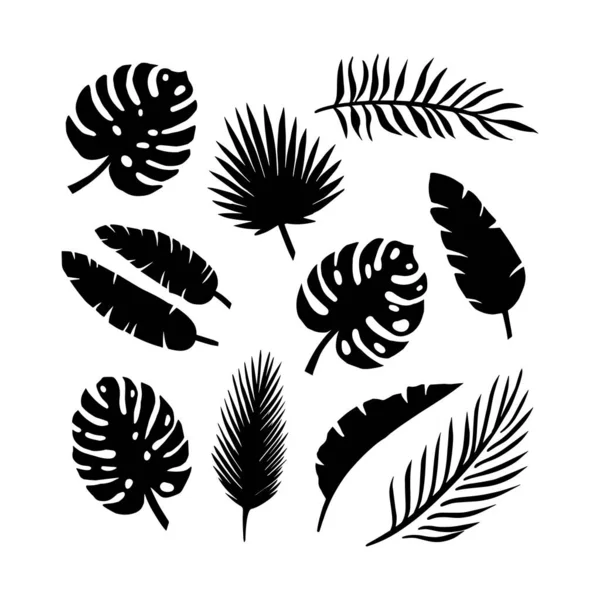 Conjunto de siluetas de hojas de palma aisladas sobre un fondo blanco. vector EPS10. — Vector de stock