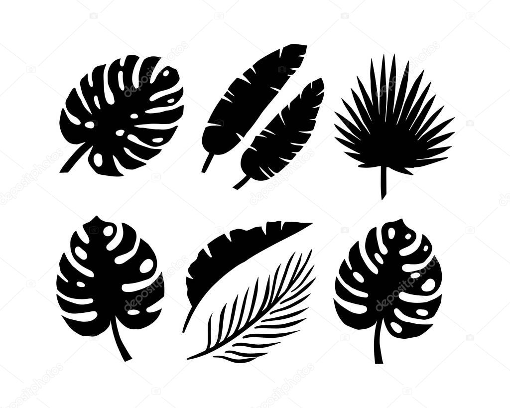 Set of silhouettes of palm leaves isolated on a white background. vector EPS10