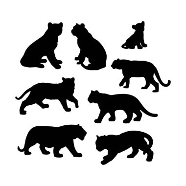 Kaplan silueti 2022 - vektör izole arka plan. Vahşi kediler .