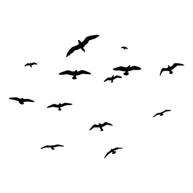 Kuş silueti. Gökteki kuş sürüsü gibi. izole arkaplan.
