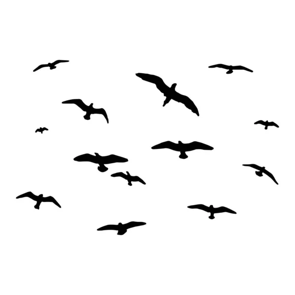 Silhouette von Vögeln. Vektorschwärme am Himmel. isolierter Hintergrund. — Stockvektor