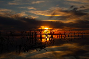 Huzurlu bir gölün üzerinde canlı bir Orange Sunset