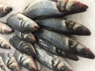 buz üzerinde ham alabalık