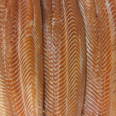 Kırmızı balık somon fileto