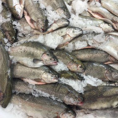 buzda balıkBodegón de pan y té