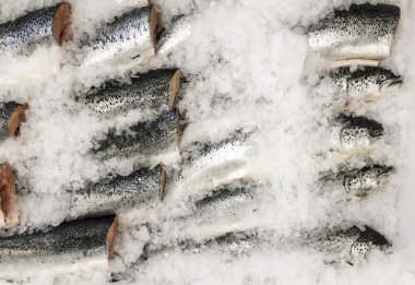 buzda balıkBodegón de pan y té