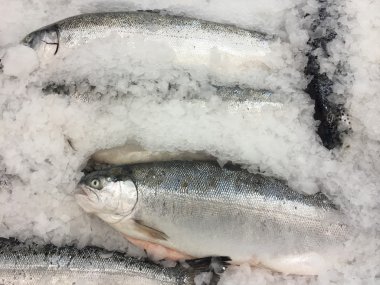 buzda balıkBodegón de pan y té