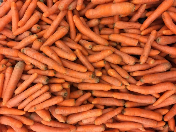 Carrot — Stock Photo, Image