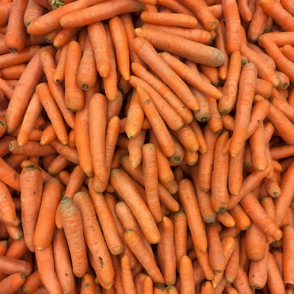 Carrot — Stock Photo, Image