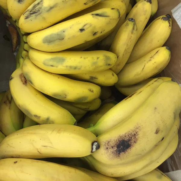 Bananas — Stock Photo, Image