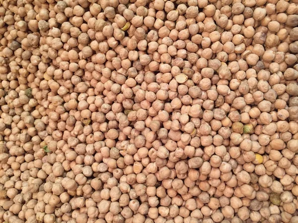 ひよこ豆の種 — ストック写真
