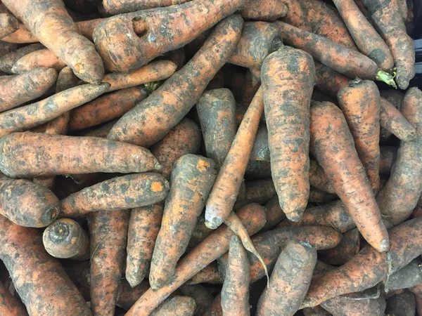 Dirty carrot — Stock Photo, Image