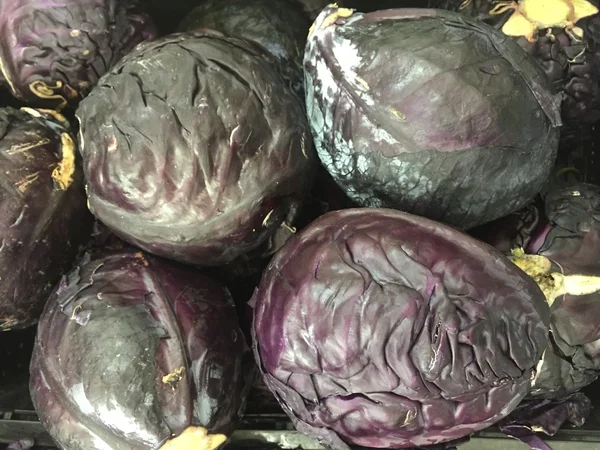 Red cabbage — Stock Photo, Image