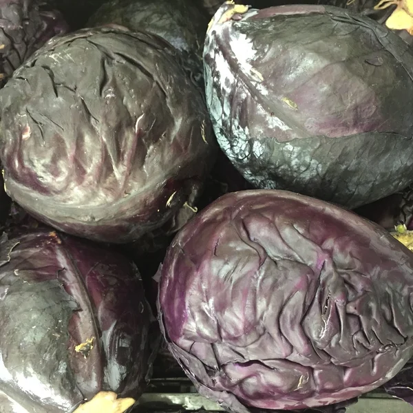 Red cabbage — Stock Photo, Image