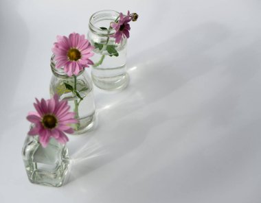 Cam şişelerde çiçekler olan bahar kartı, üç parça halinde duruyor..