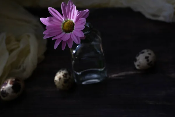 Stilleven Met Delicate Kamillebloemen Met Rozenblaadjes Een Donkere Houten Achtergrond — Stockfoto