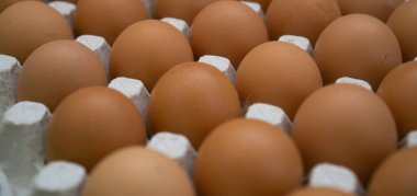 Kahverengi kabuklu tavuk yumurtalı kağıt tepsi. Pişirme veya Paskalya resmi için gerekli malzemeler.