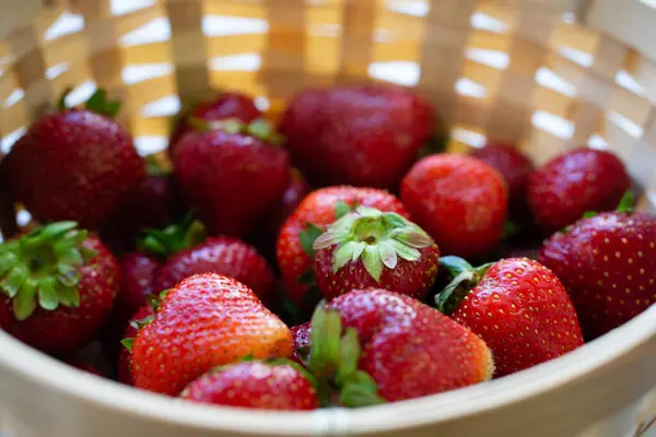 Reife Erdbeeren Korb Süßes Saftiges Vergnügen Sommerfrüchten — Stockfoto