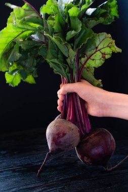 Ergenin eli üç kırmızı pancar tutuyor. Vitamin ve lifli sağlıklı bir diyet için sonbahar sebze hasadı