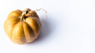 Portakal kabuklu ve kuru kuyruklu küçük balkabağı beyaz arka planda güzel bir spiral şeklinde bükülmüş..