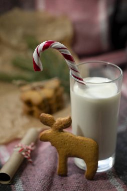 Noel Baba hediyesi. Bir bardak süt ve bademli kurabiye büyükbabamı geyiğin üstünde bekliyor..
