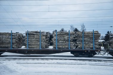 Tren kışın huş ağacı yakacak odun taşır. Huş ağacı kütükleri taşıyan tren vagonu. Yakacak odun hazırlığı.