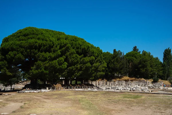 夏季土耳其伊兹密尔省爱奥尼亚海岸上的古希腊城市以弗所或埃弗埃斯的废墟 — 图库照片