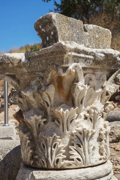 夏日里土耳其伊兹密尔省爱奥尼亚海岸上的古希腊城市以弗所或埃弗埃斯的柱体残破 — 图库照片