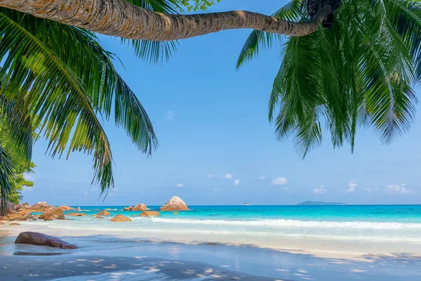 Praslin island seychelles — стоковое фото