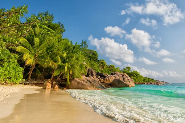 Anse lazio beach praslin Adası Seyşel Adaları