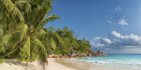 Anse georgette praslin Adası Seyşeller '