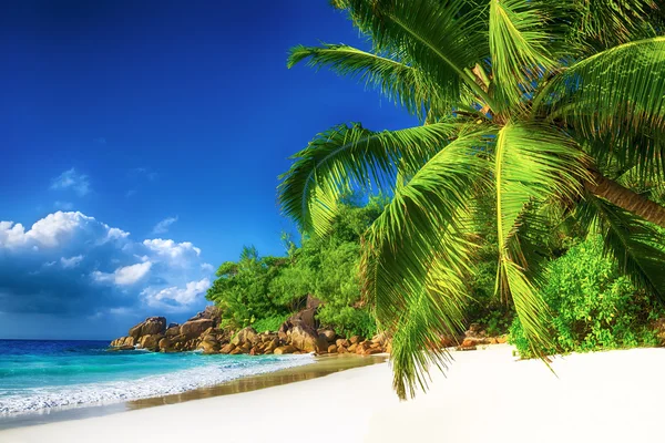 Anse georgette spiaggia in seychelles — Foto Stock