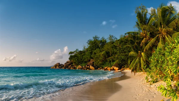 Пляж Ансе Жоржетта в Сейшельских островах — стоковое фото