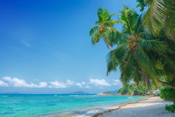 Anse pasquiere praslin Adası Seyşel Adaları üzerinde — Stok fotoğraf