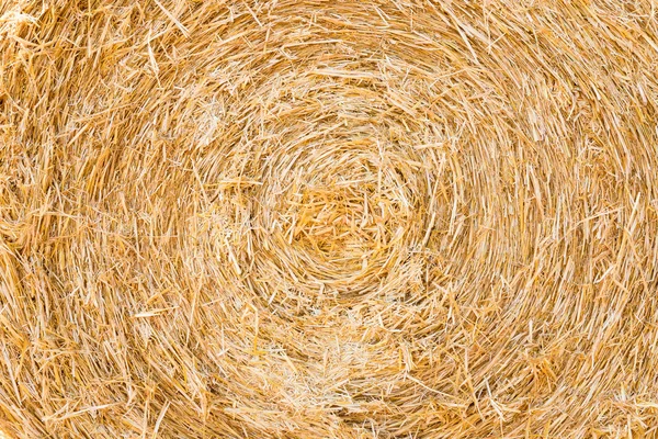 bale pressed with straw