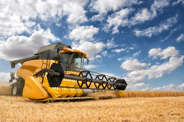 Modern combine harvester in action. — Stock Photo, Image