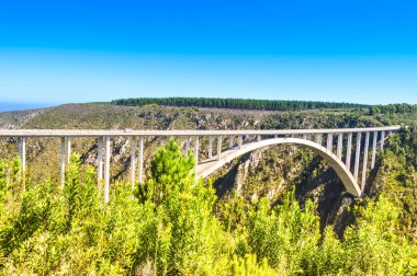 Bloukrans bunjee jumping bridge, Nature 's Valley ve Knysna yakınlarında batı Afrika Burnu' nda bulunan bir köprü.