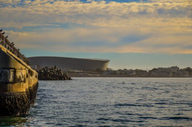 Güney Afrika 'daki Cape Town futbol stadyumu
