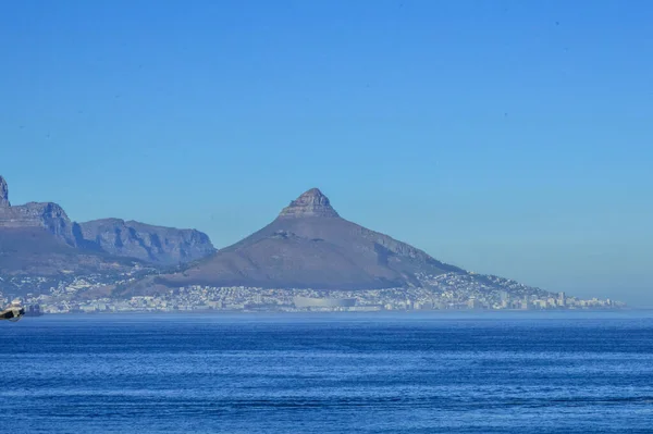 Lví Hlava Podél Atlantického Oceánu Mysu Města Jižní Africe — Stock fotografie