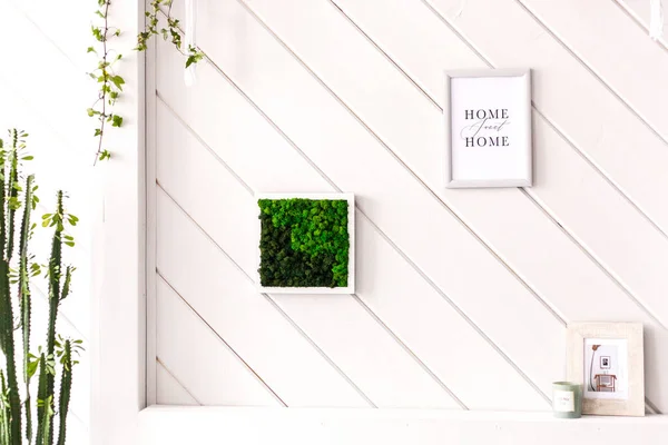 Pared Luz Interior Con Una Imagen Musgo Paredes Blancas Plantas —  Fotos de Stock