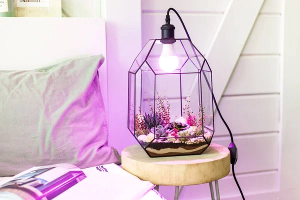 lamp for illumination of plants and growth at home or the office, interior landscaping, a small table beside the bed