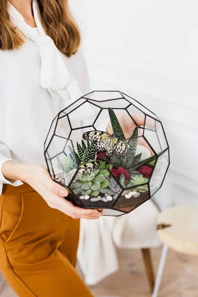女の子の手は 石で満たされたガラスと金属で作られた花のためのフラリウム フォームを保持しています インテリア装飾 自宅やオフィスでの園芸植物 — ストック写真