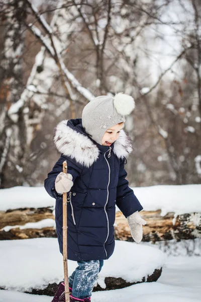 Kız çocuğu mavi ceketli, gri şapkalı, kar taneli, soğuk hava, bebek gülüşlü, kış ormanlarında yürüyor.