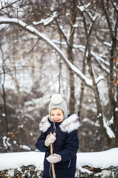 Girl Child Walking Winter Forest Blue Jacket Gray Hat Snow — Stock Photo, Image