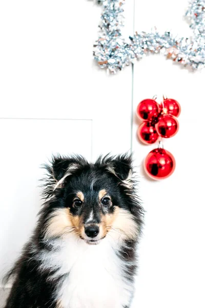 Ster Ballen Rood Home Decor Wroeten Voor Nieuwjaar Kerstmis Achtergrond — Stockfoto