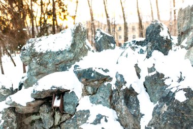 Parktaki kayalar, kış manzarası, kar ve doğanın, ağaçların ve güneşin güzelliği.